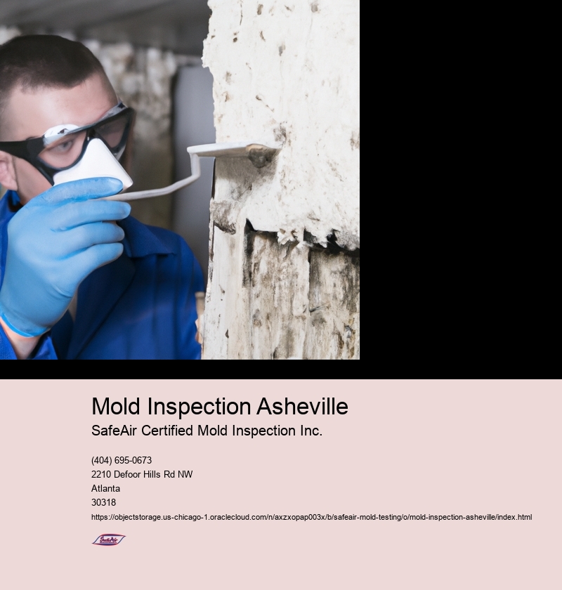 Importance of mold inspection in Asheville
