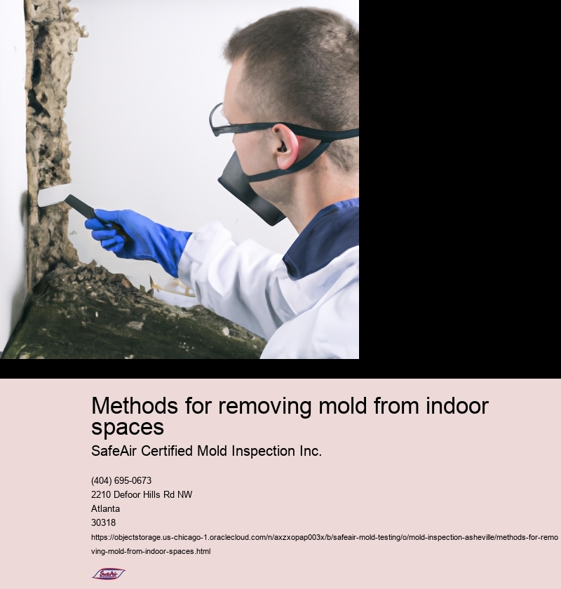 Identify the mold problem
