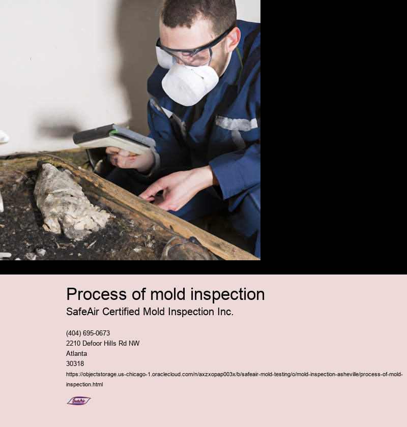 Importance of mold inspection