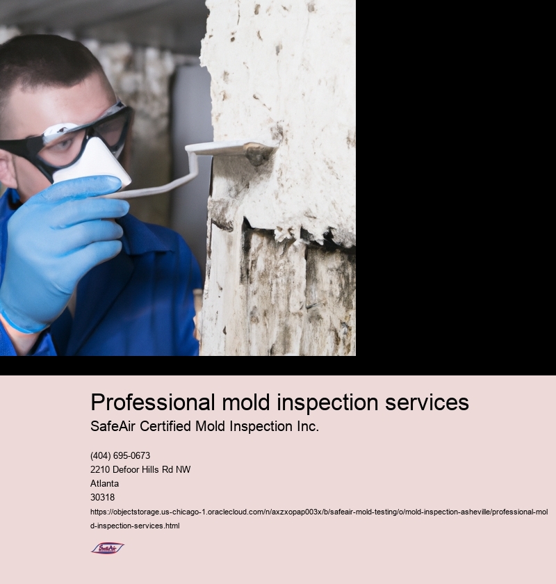 Importance of professional mold inspection services