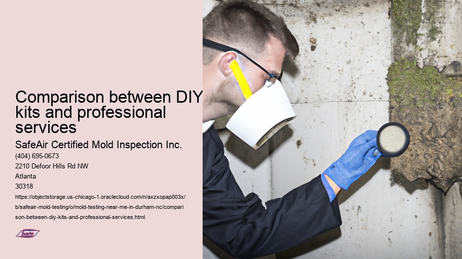 Comparison between DIY kits and professional services