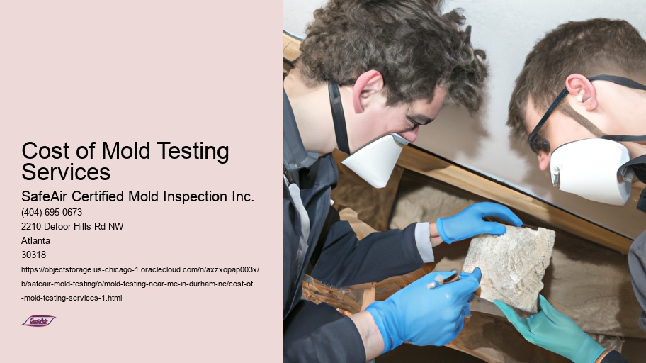 Cost of Mold Testing Services