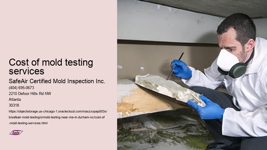 Cost of mold testing services