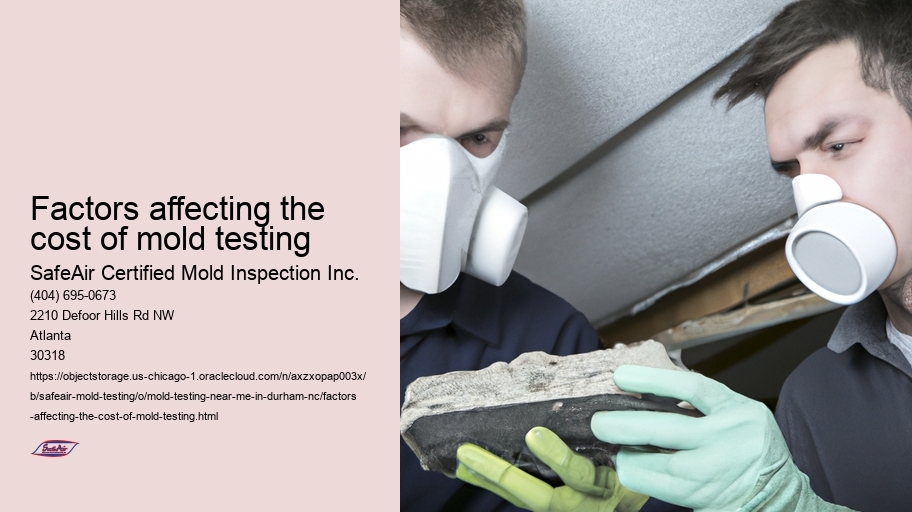 Factors affecting the cost of mold testing