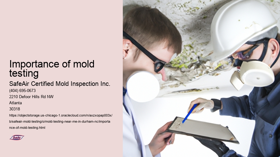 Importance of mold testing