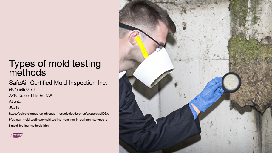 Types of mold testing methods